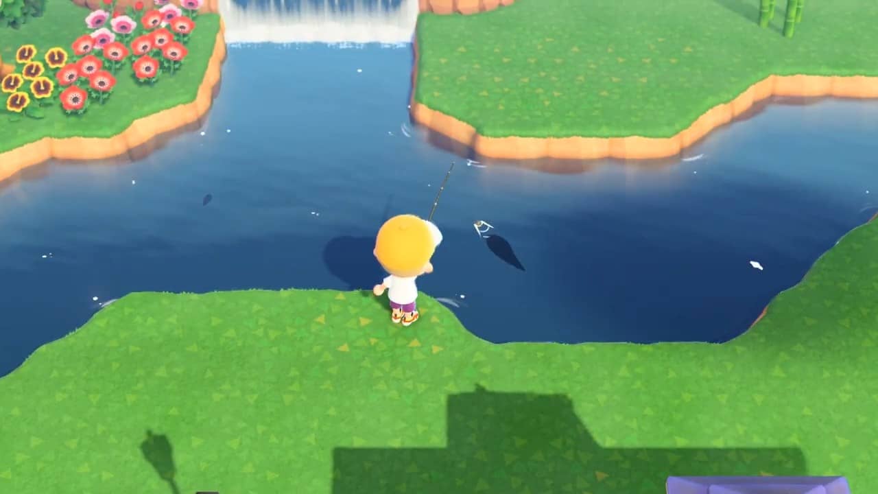 Como Pescar un Dorado en Animal Crossing New Horizons